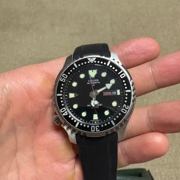 시티즌 복어 메탈밴드 NY0040 오토매틱