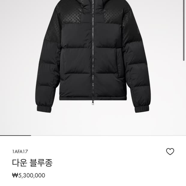 루이비통 25FW 다운 패딩 블랙 52