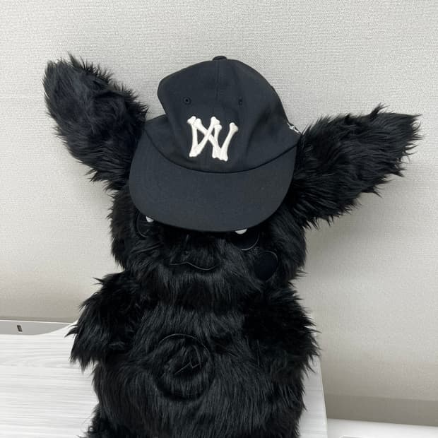 아오이로 6패널 캡 초판