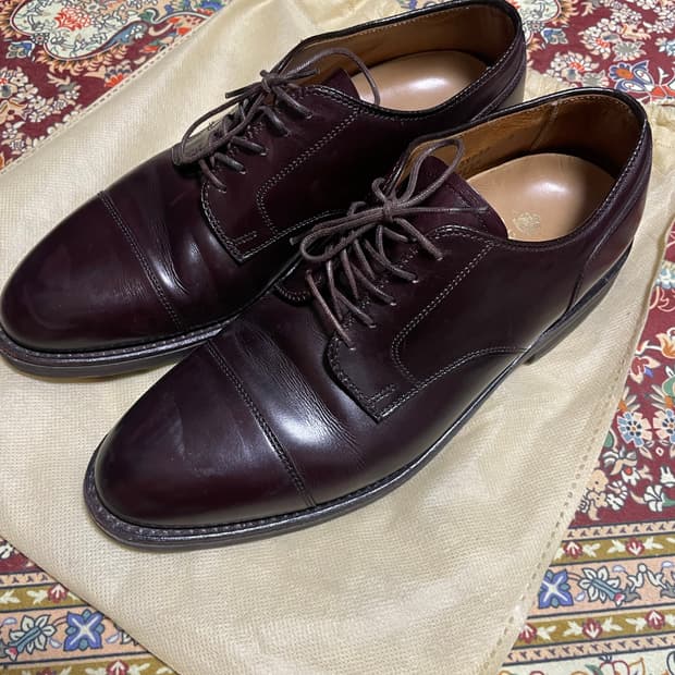 Alden 973R Calfskin Straight Tip Blucher