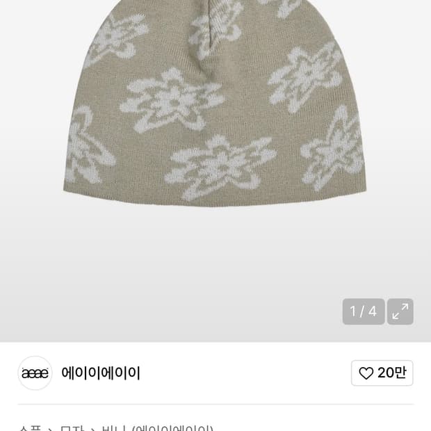 에이이에이이 비니