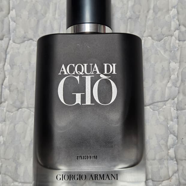 [국문택] 알마니 아쿠아 디 지오 퍼퓸 100ml