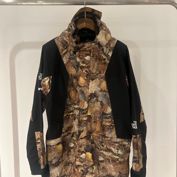 Supreme x The North Face Mountain Jacket