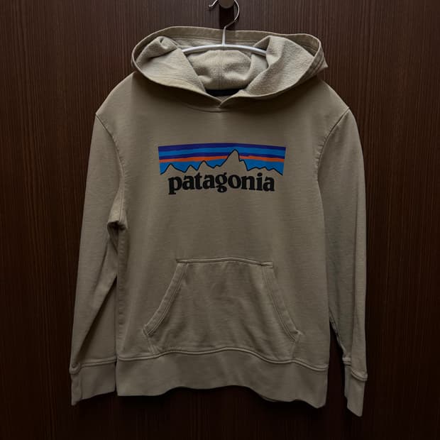 파타고니아 후드티셔츠 