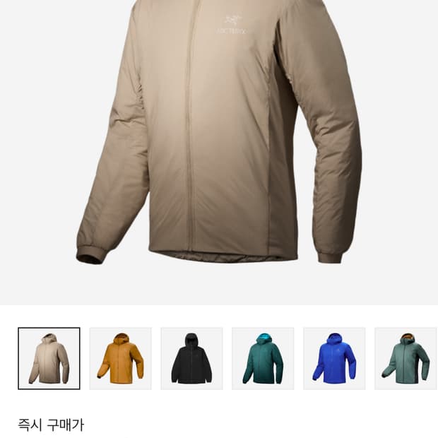 아크테릭스 아톰 후디 스모크 블러프