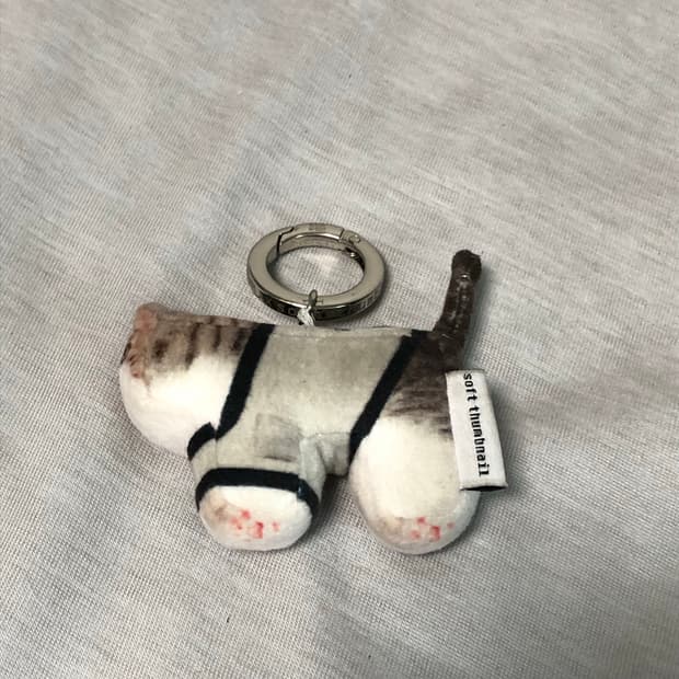 폴리테루 수베니어 캣 키링 고등어