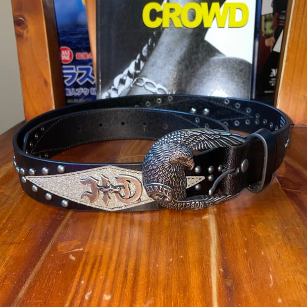 할리데이비슨 이글벨트