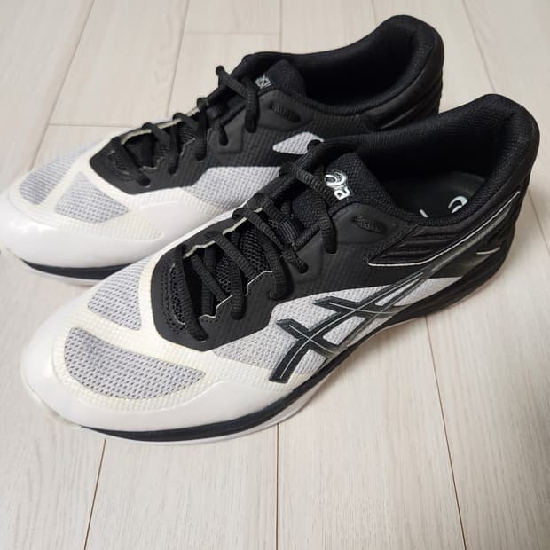 아식스 배구화 NETBURNER BALLISTIC FF사이즈285

새상