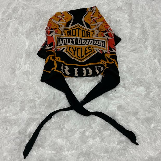 Harley Davidson headwear