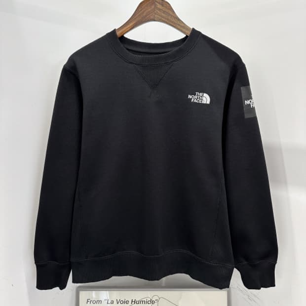 THE NORTH FACE (L)