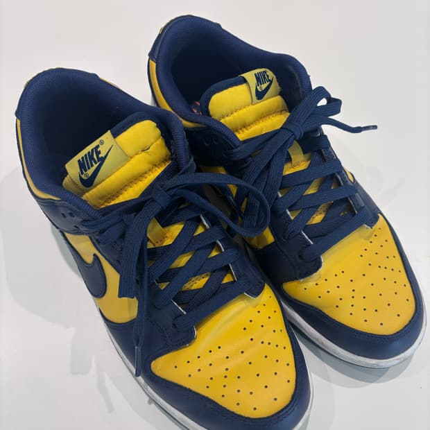나이키 덩크 로우 레트로 미시간 DD1391-700