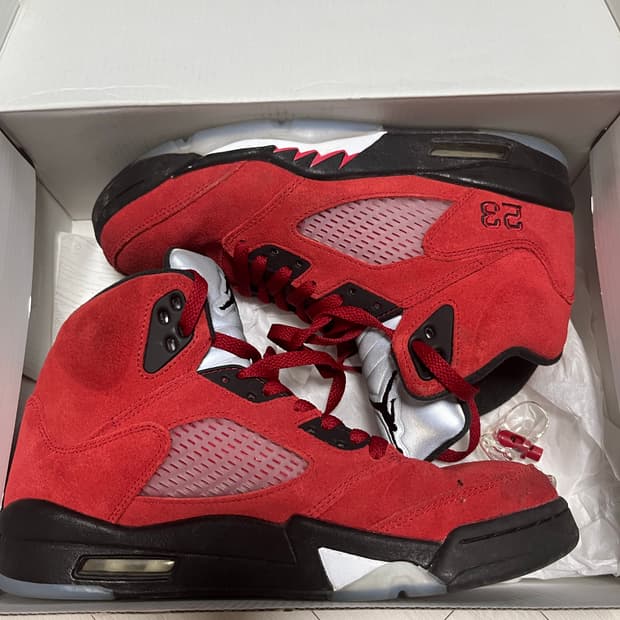 조던5 레트로 토로 브라보 260