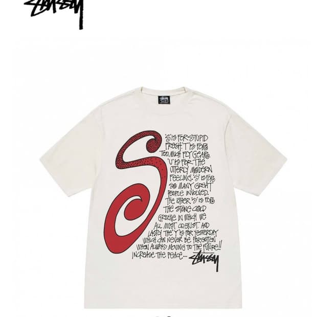 스투시 stussy S talk pig dyed tee natural 