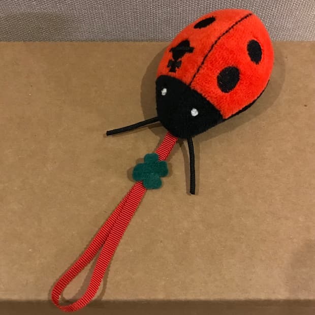 비비안웨스트우드 무당벌레 키링 백참