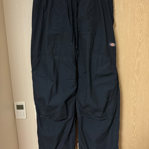 디키즈 피셔스빌 외이드 팬츠 navy(XL)