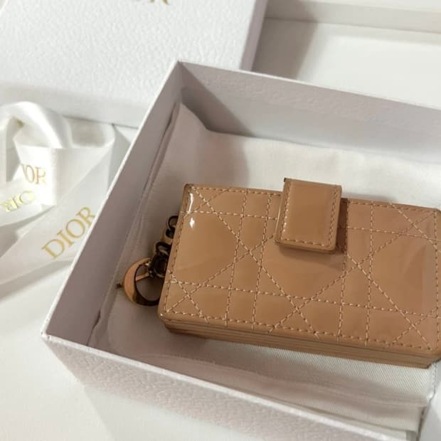 디올 레이디 페이던트 아코디언 카드지갑 