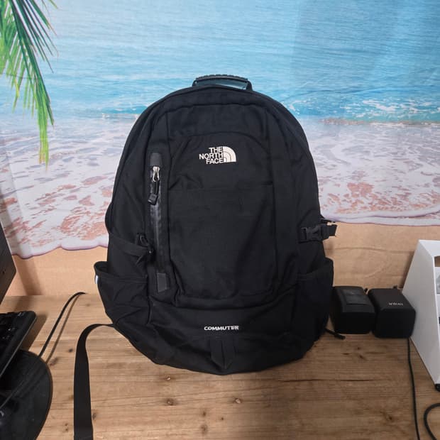 노스페이스 커뮤터 백팩 20L