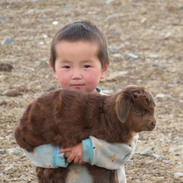 • chaAii님 결제창  🎶♥🐰 •