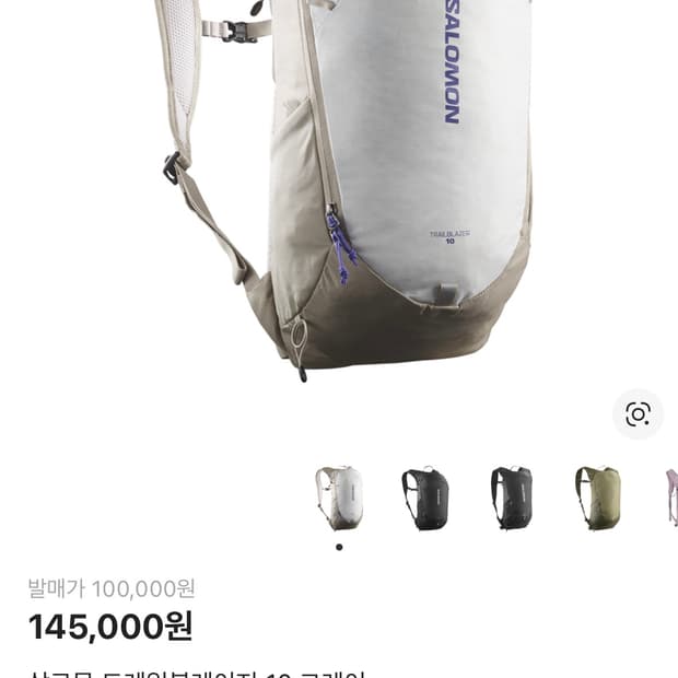 살로몬 트레일블레이저 10 그레이