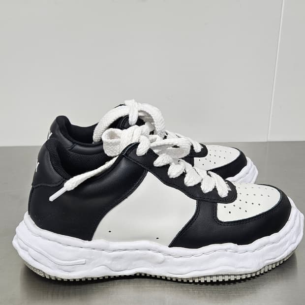 미하라야스히로 웨인 레더 범고래(41)