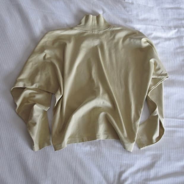 Lemaire polar batwing top