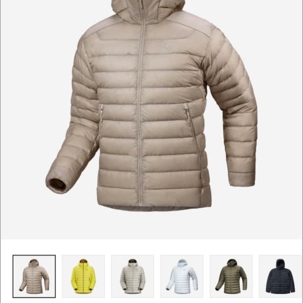 아크테릭스 세륨 후디 룬 패딩 S