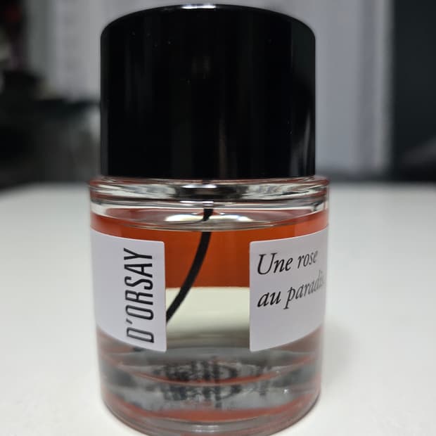 도르세 D'ORSAY 에흐베 EDP 50ml