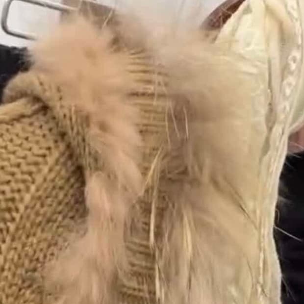 브라운 퍼 세트