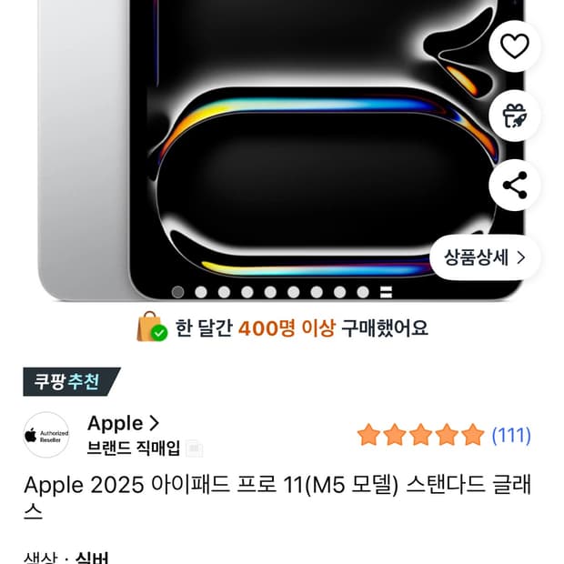 아이패드 프로 m4 11 256gb wifi