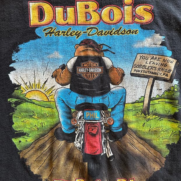 00s harley DuBois Punxsutawney Phil