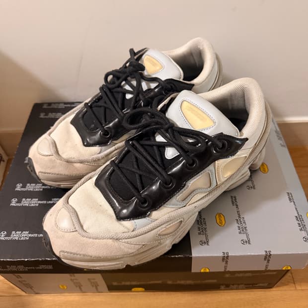 라프시몬스 아디다스 신발