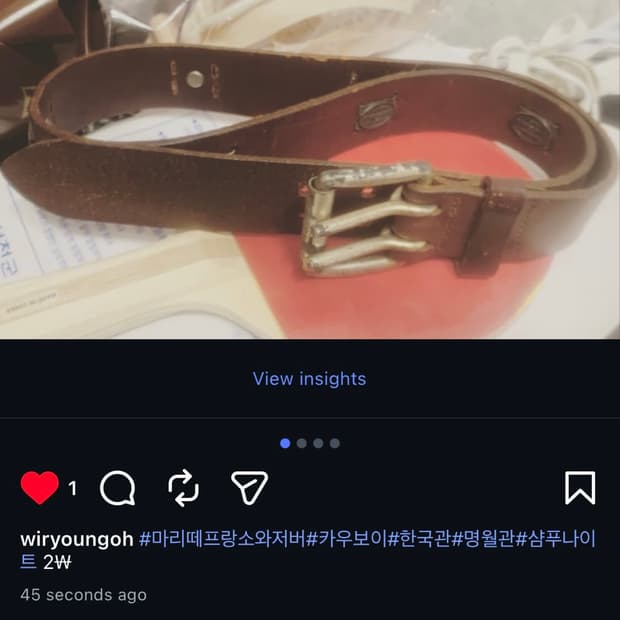 머리떼프랑소와 저보 벨트 