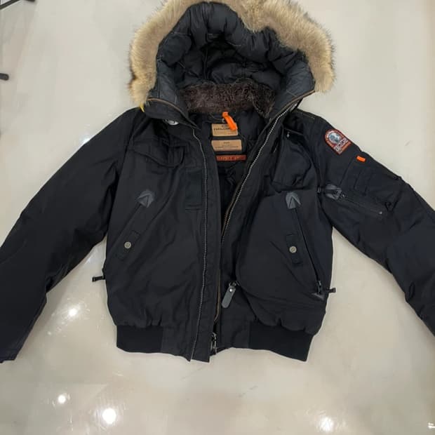 파라점퍼스 고비