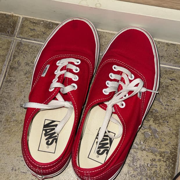 반스 어센틱 레드 240