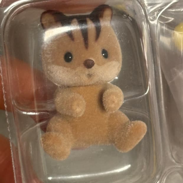 실바니안 고양이토끼사슴