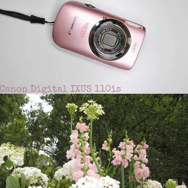 Canon ixus 110is