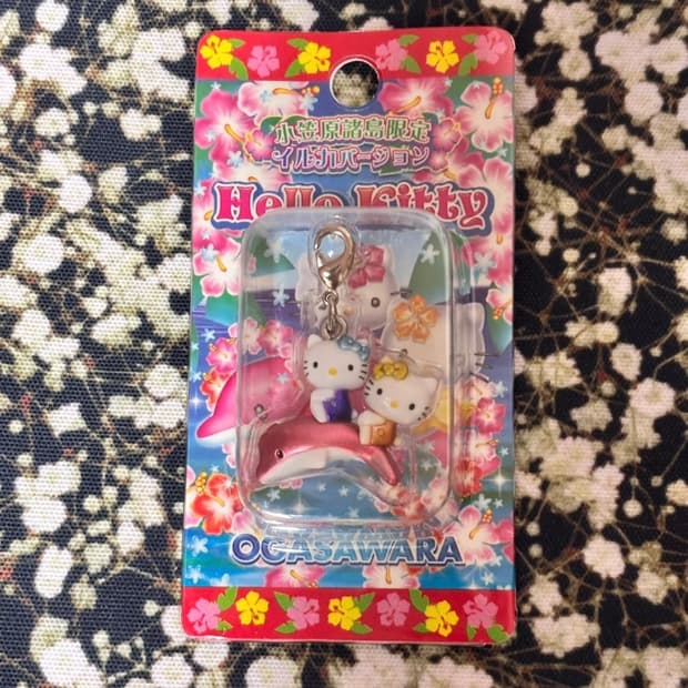 고전 키티스트랩 