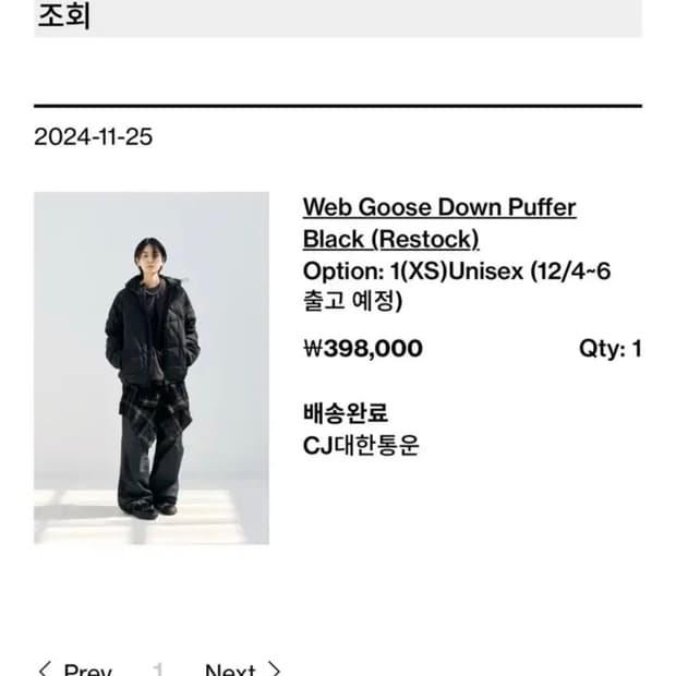 해칭룸 웹 구스 다운 24ss 1사이즈
