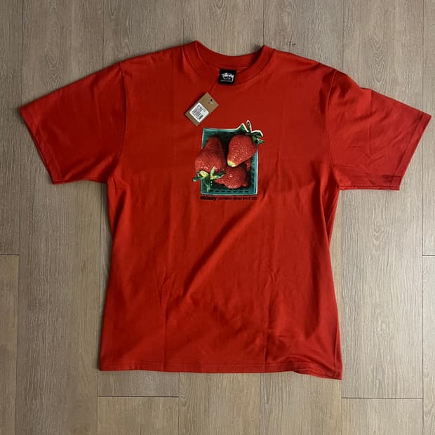 스투시 BERRIES TEE M