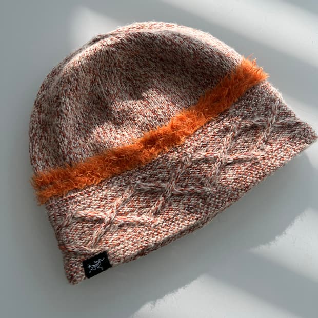 아크테릭스 비니