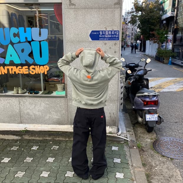 DICKIES carpenter (36X30)