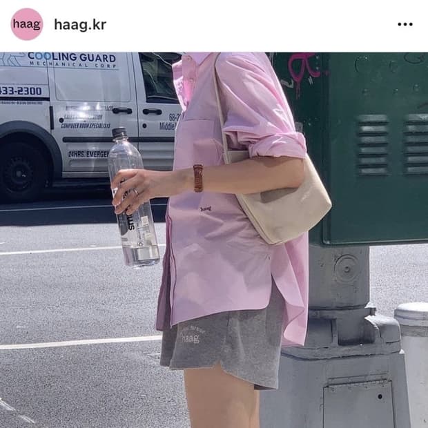 헤이그 테리쇼츠