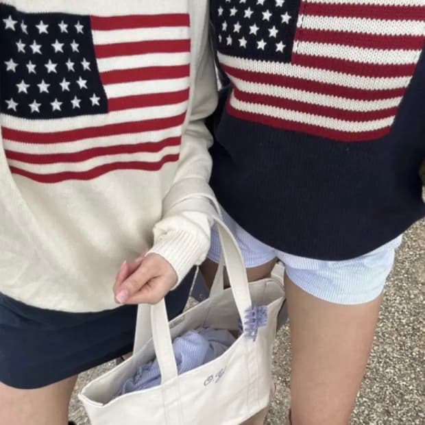 브랜디멜빌 성조기니트 