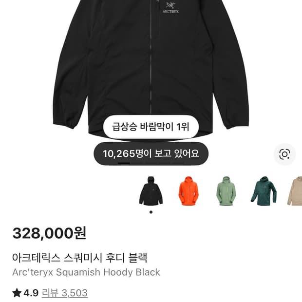 아크테릭스 스쿼미시 후디 블랙 S