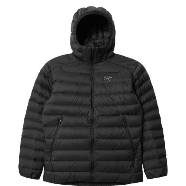 [L] 아크테릭스 세륨 후디 블랙