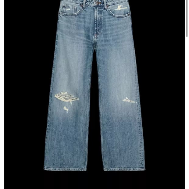 자라 디스트로이드 미드진