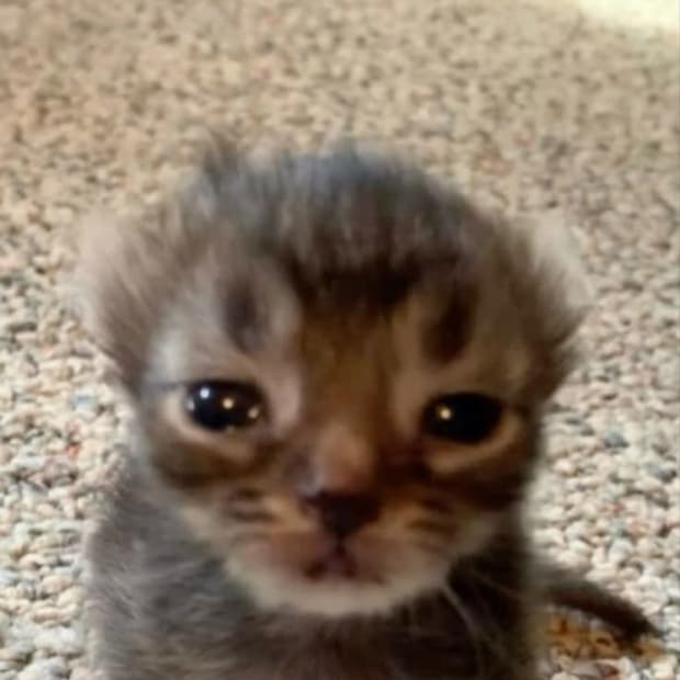 3/1 스토어 폐쇄 할인 공지