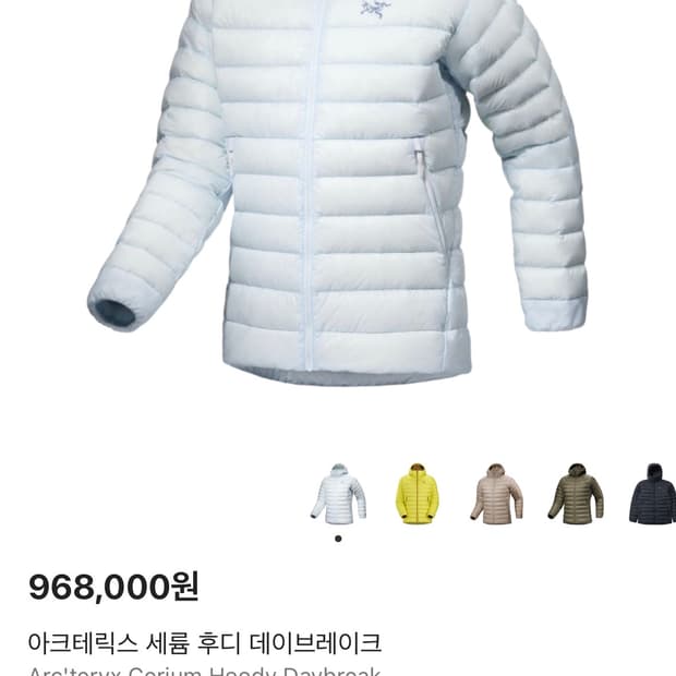 아크테릭스 세륨 후디 데이브레이크 XL