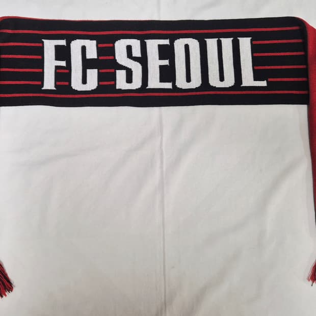 FC 서울 머플러 팝니다 