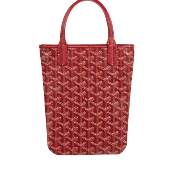 고야드 포아티에 소형